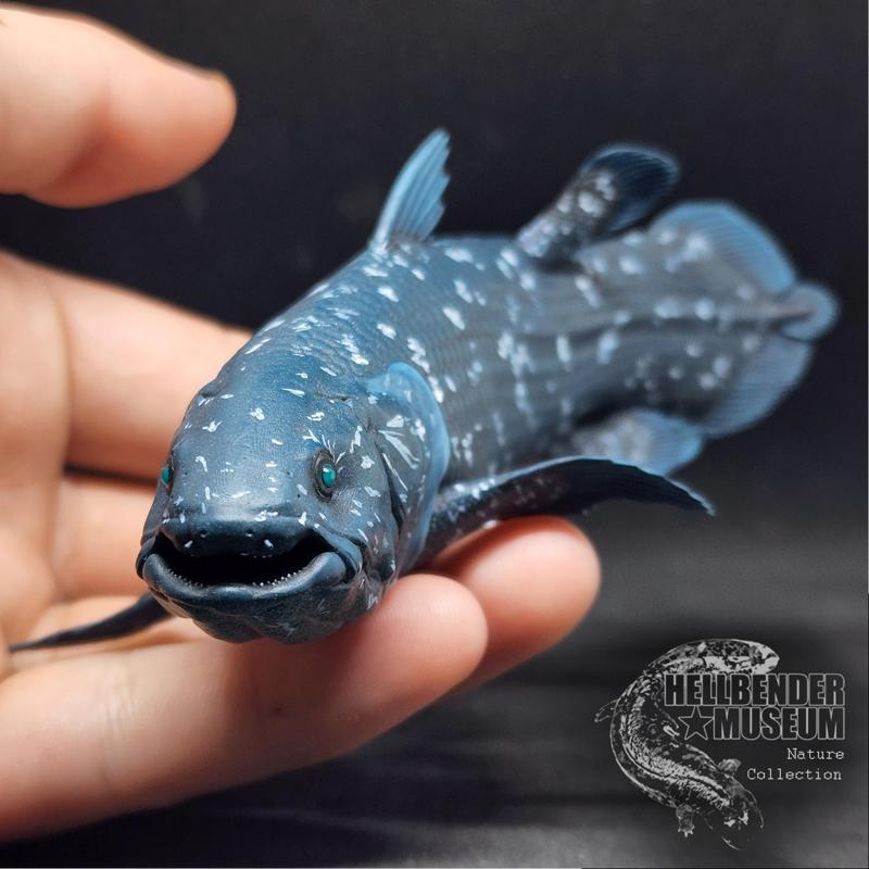 Coelacanth Latimeria chalumnae Presupported