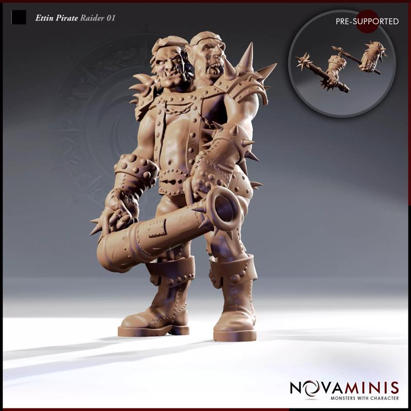 Ettin Pirate Raider 01