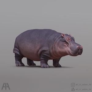Hippopotamus