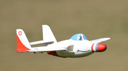 DH 100 RC Cartoon Vampire 50mm EDF