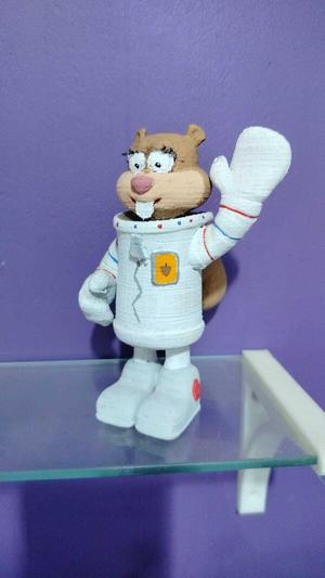 sandy cheeks