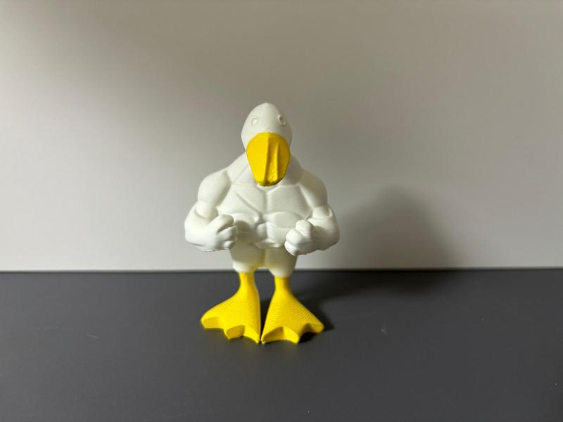 Your Fitness Buddy Muscle Duck Fitness Duck Desktop Ornament