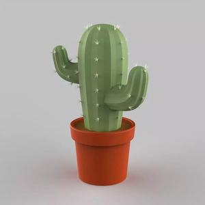 Cactus