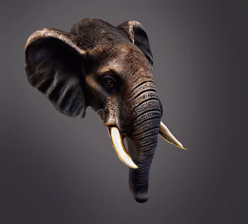 Elephant head wall decor