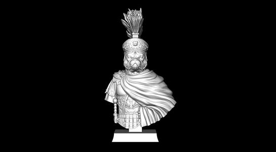 Exotic Bully Centurion