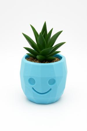 Cute Face Planters Pack - 8 Variants | 3D Printable Pots for Succulents & Cactus