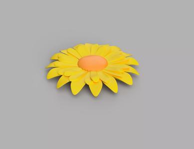 Sunflower flower