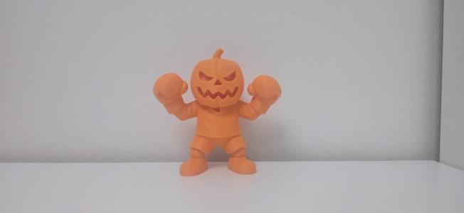 Halloween Pumpkin Boxer