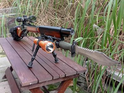 Daisy Red Ryder underbarrel 22mm rail
