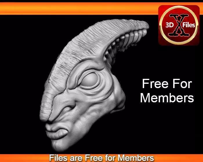 Coleman Trebor Head Sculpt - Star Wars Jedi Custom Acion Figure