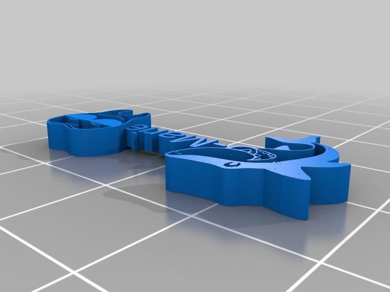 Charcot-Marie-Tooth CMT Disease