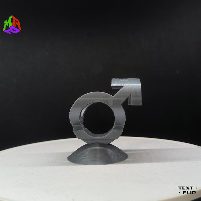 The Flips: Male - Female 2.0