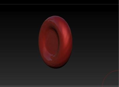 Red Blood Cell