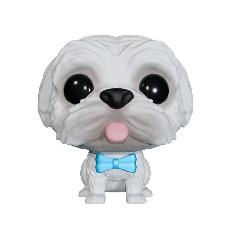 Dog pop maltese