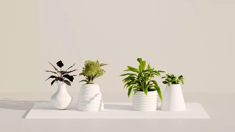 plant pot