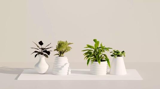 plant pot
