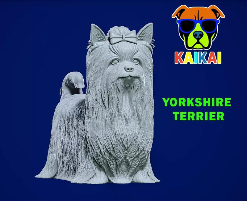 Yorkshire Terrier Dog model - 3D print