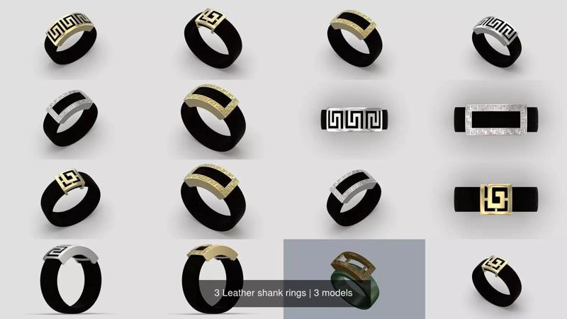 3 Leather shank rings 3D Model Collection