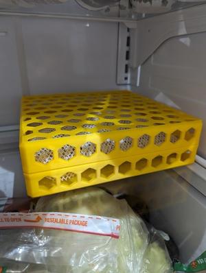 Fridge Freshener - Gonzo Rocks