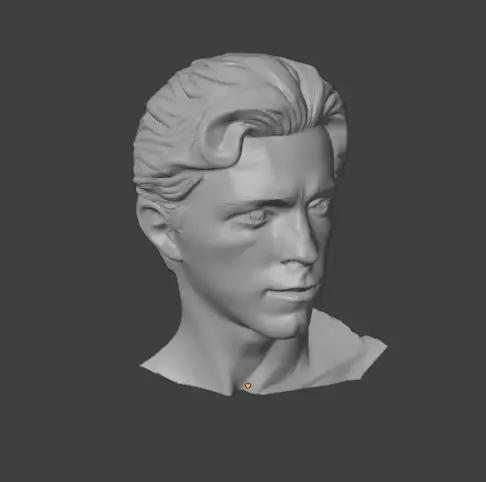 Tom Holland Bust