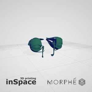 Medical - Eyeballs (planes) - Real size