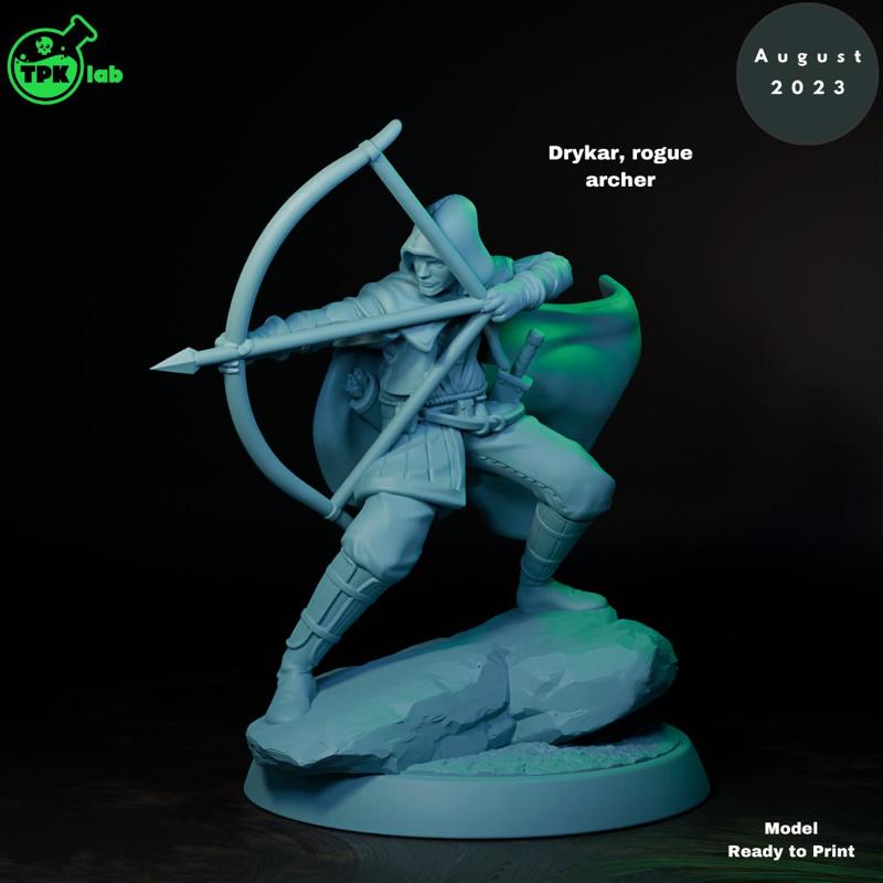 Drycar Rogue Archer