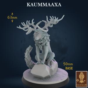 Kaummaaxa
