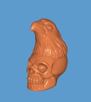Eagle head, skull