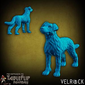 Shepherd Dog (PRESUPPORTED)