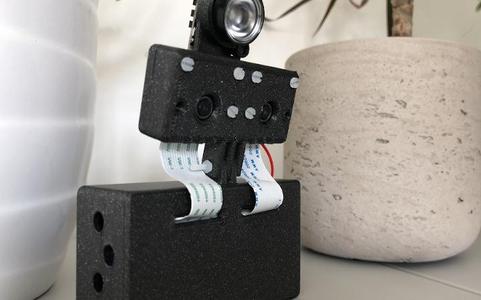 Dual Pi Camera