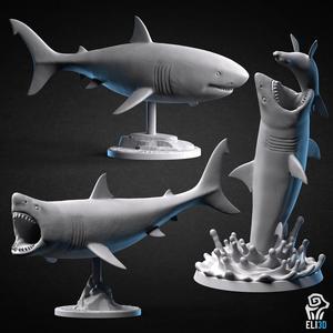 Shark Bundle - Animals