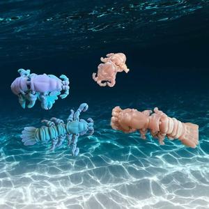Mantis Shrimp
