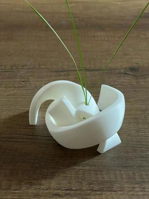 Taekwondo Belt Vase – Minimalist Martial Arts Decor   