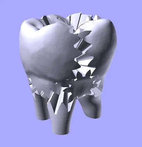 geared tooth   