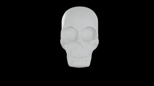 Skull