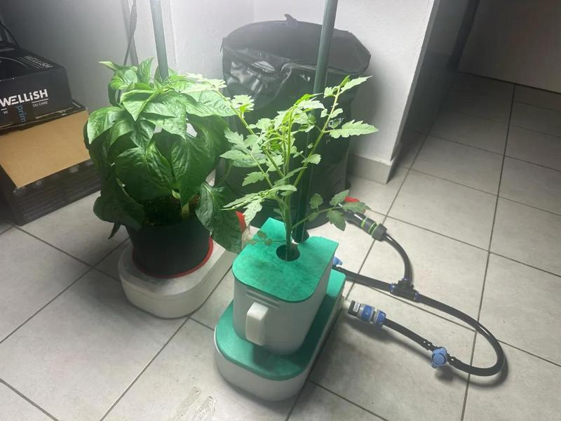 Pot Auto-Alimenté par le Bas – Système Racinaire avec Réserve d’Eau à Niveau Constant - Hydroponie   