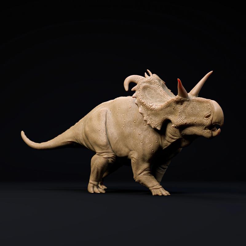 Lokiceratops ceratopsian dinosaur 1-35 scale pre-supported dinosaur