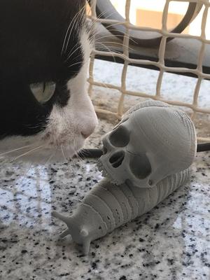 Snail Skull - Snail Skull