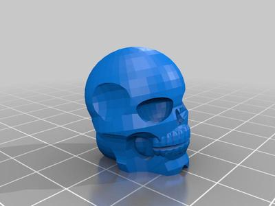 Skeleton Skull