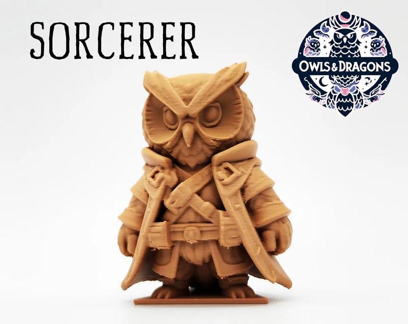 The Sorcerer - Owls & Dragons   