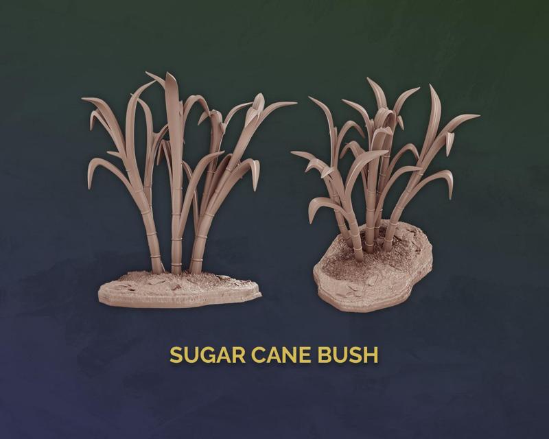 Sugar Cane Bush