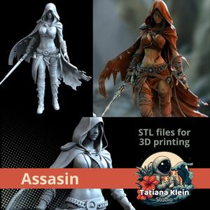 The Assasin | STL Figure for 3D Printing