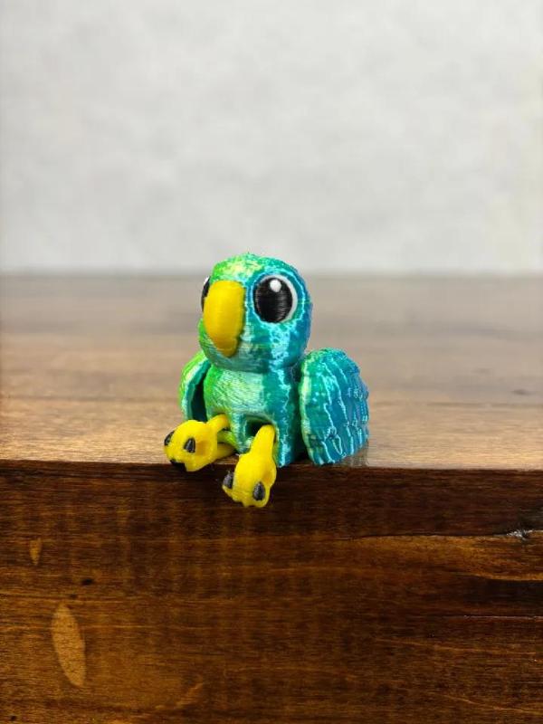 Parrot Fidget   