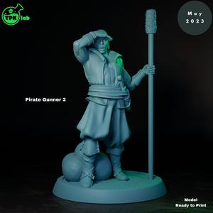 Pirate Gunner 2