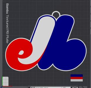 Montreal Expos Retro Oversized Necklace Logo   