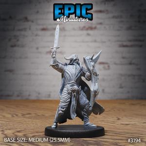 Hunters Guild Drake Knight Attack / Dragon Hunter / Beast Tamer / Male Warrior / Evil Draconic Army