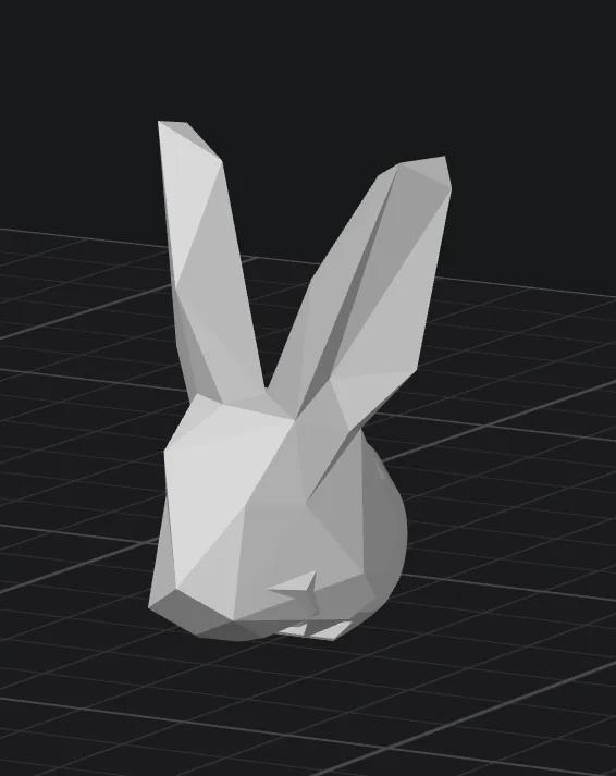 Dummy 13 Bunny   