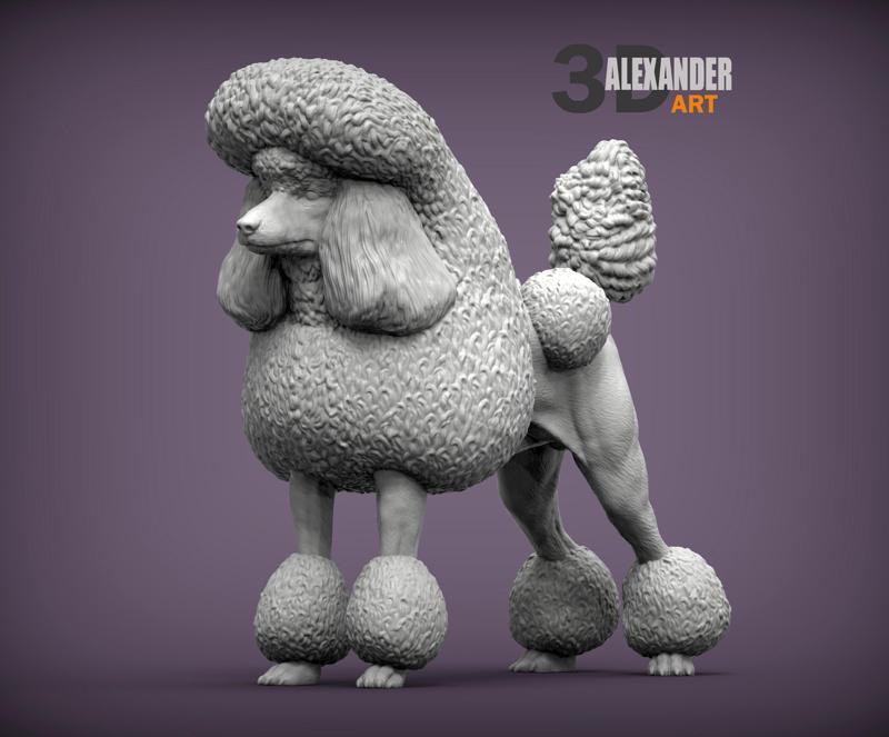 Royal poodle 3D print model