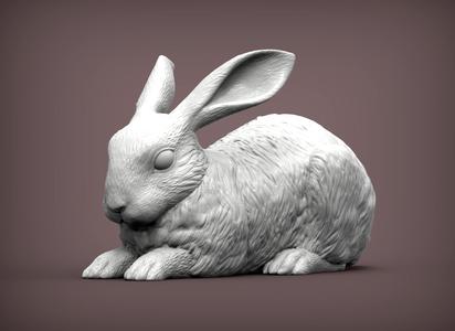 Rabbit 3D print model