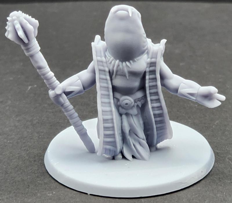 Selachian - Nurse Shark Cleric